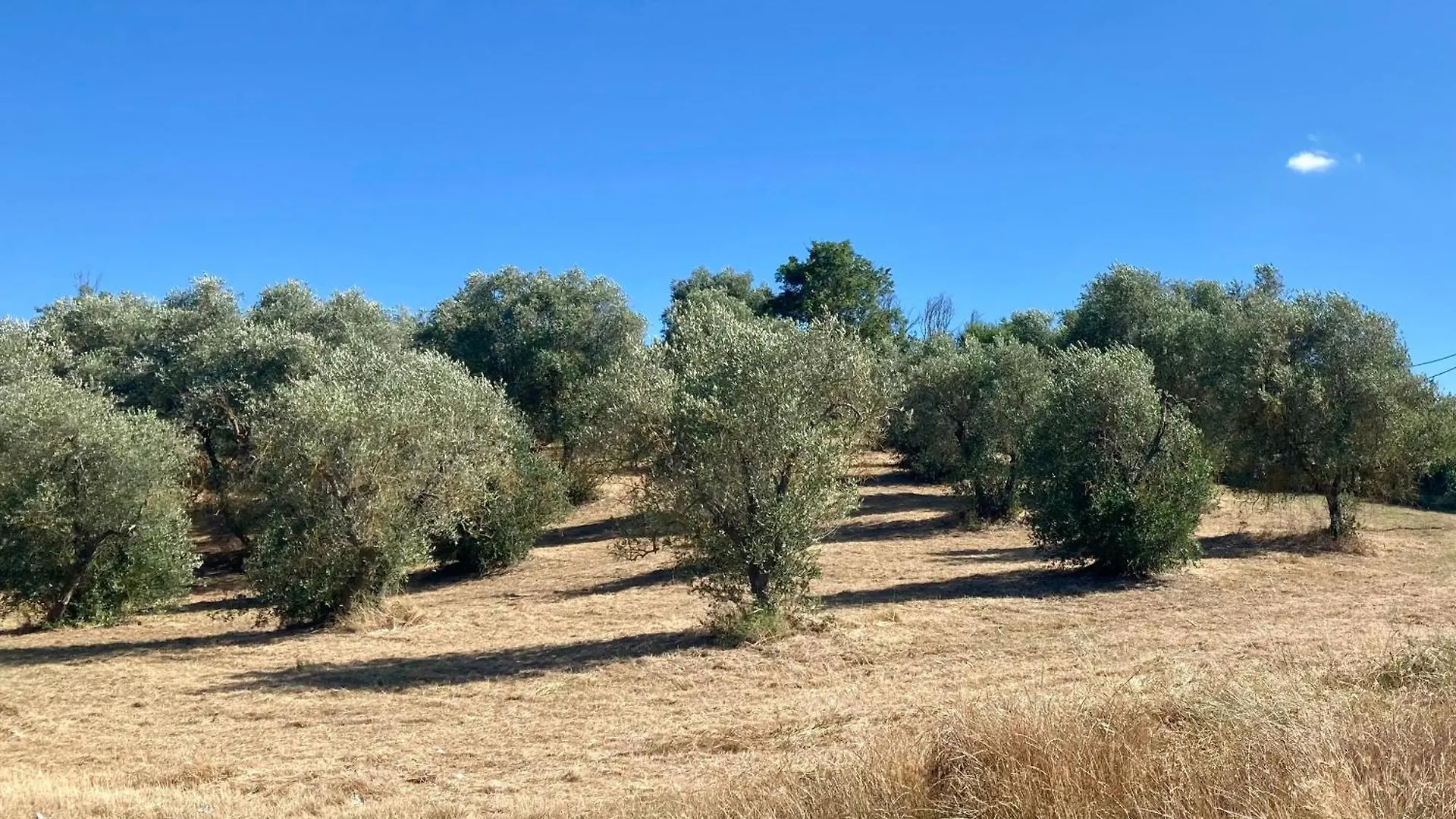 팜스테이 Agriturismo Rigone In Chianti 몬타이오네