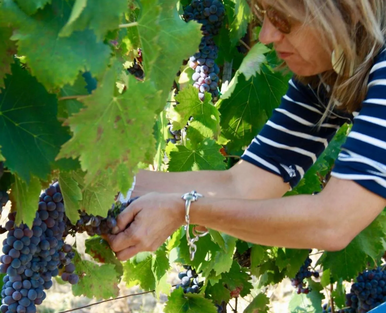 팜스테이 Agriturismo Rigone In Chianti 몬타이오네