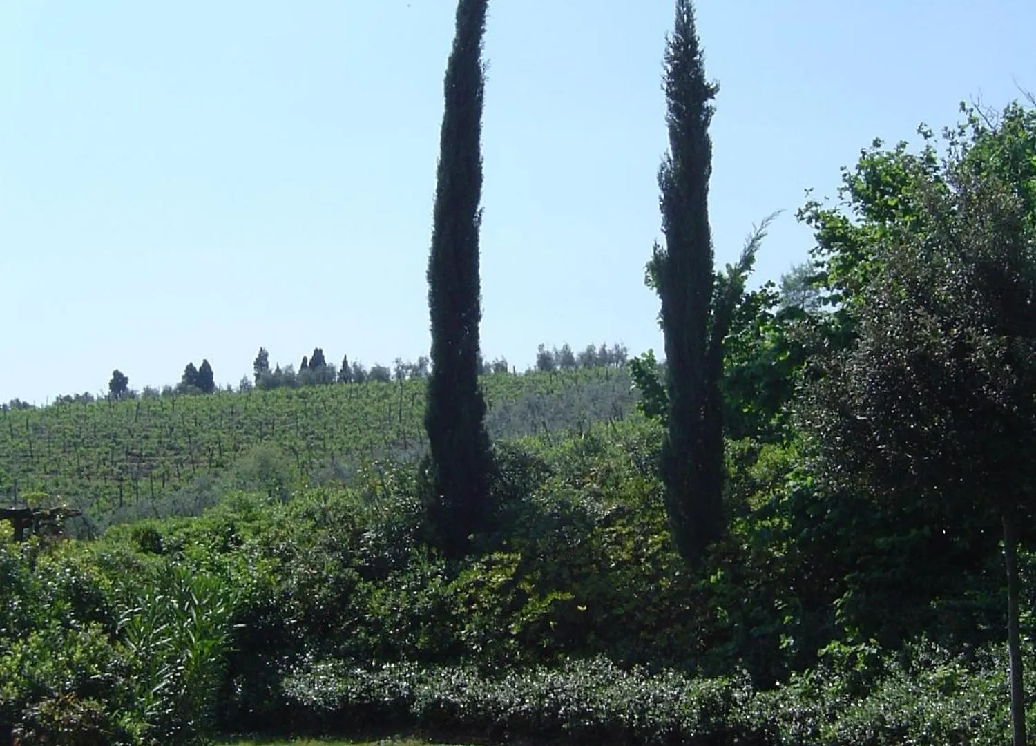 Agriturismo Rigone In Chianti 몬타이오네