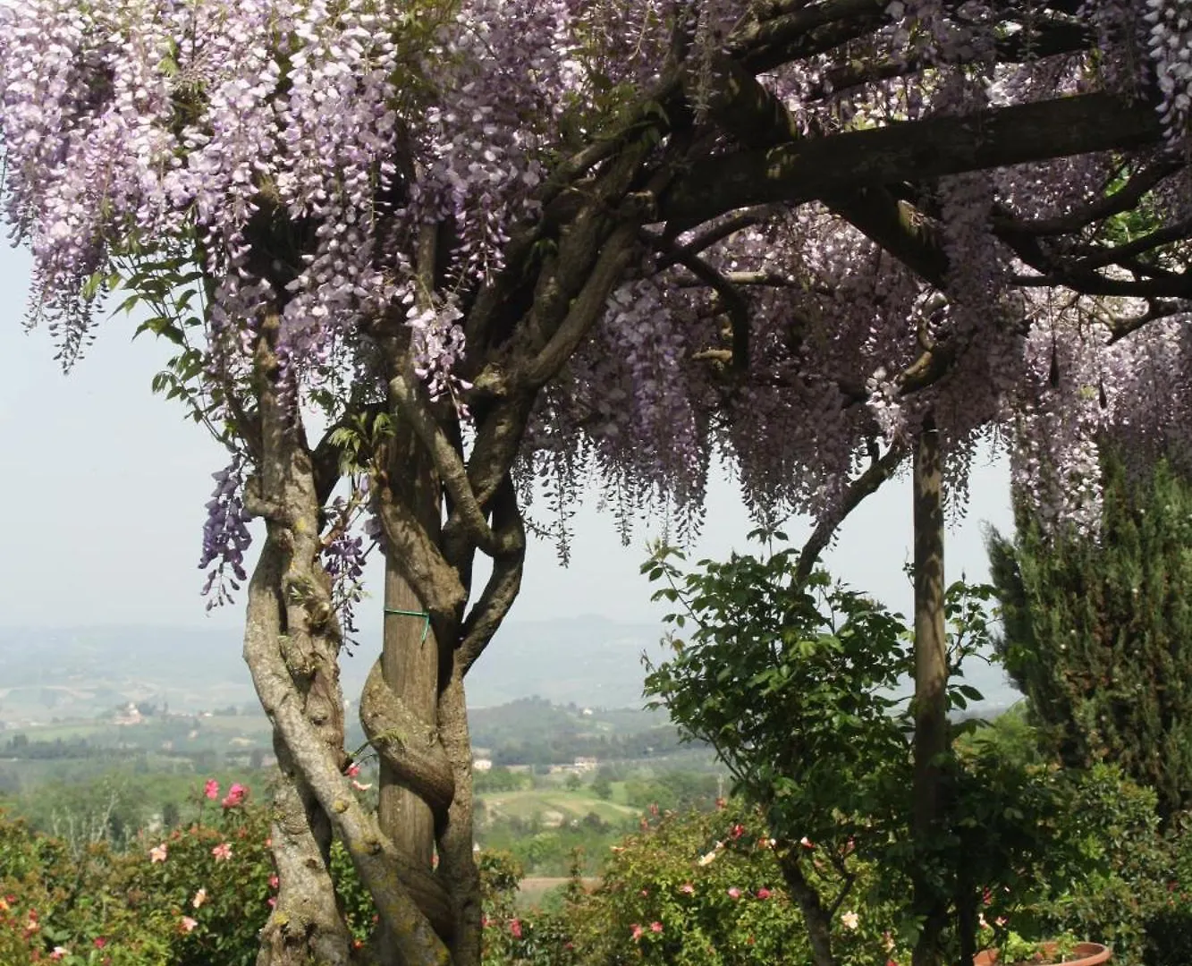 Agriturismo Rigone In Chianti مونتايون 0*,