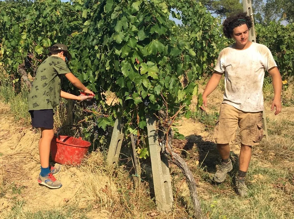 Vakantieboerderij Agriturismo Rigone In Chianti Montaione Italië